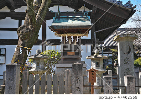 【誉田八幡宮 安産社】 大阪府羽曳野市誉田3 【誉田八幡宮 安産社】 大阪府羽曳野市誉田3 47402569