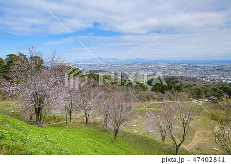 春日山城跡からの眺望 春日山城跡からの眺望 47402841