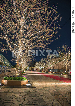 【恵比寿ガーデンプレイス イルミ】 【恵比寿ガーデンプレイス イルミ】 47402935