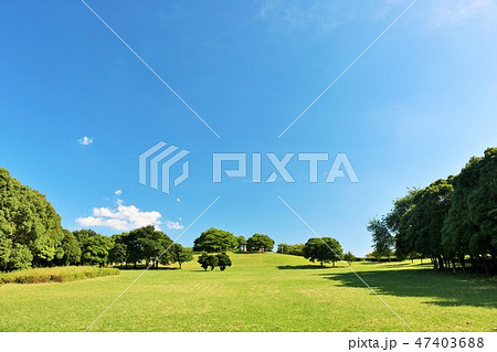 爽やかな青空と公園風景 47403688