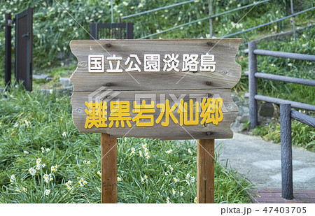 灘黒岩水仙郷の入り口 灘黒岩水仙郷の入り口 47403705