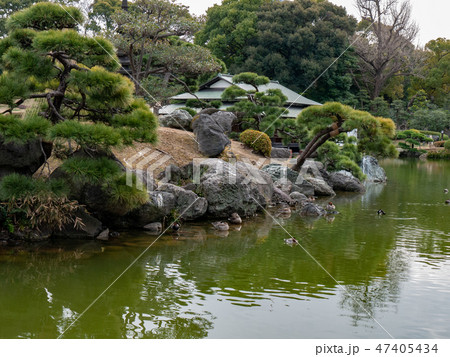 清澄庭園4 清澄庭園4 47405434