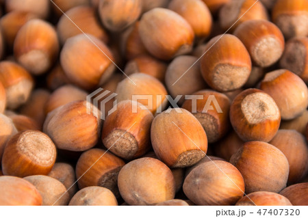 Food background of the hazelnuts 47407320
