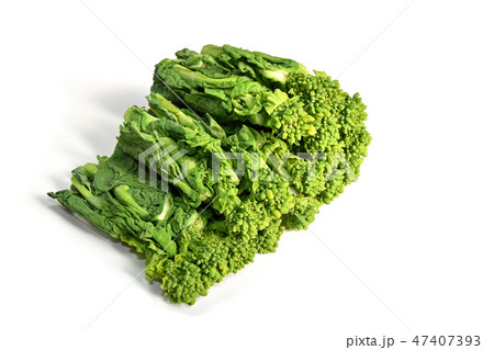 なばな（菜花） 47407393