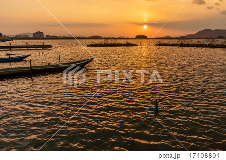 西の湖夕景 西の湖夕景 47408804