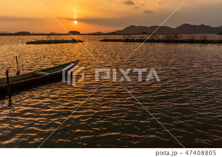 西の湖夕景 西の湖夕景 47408805