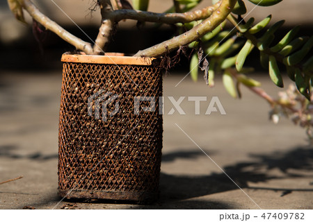 農耕 農業 背景 47409782