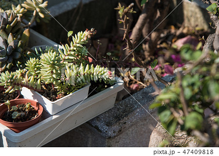 農耕 農業 背景 47409818