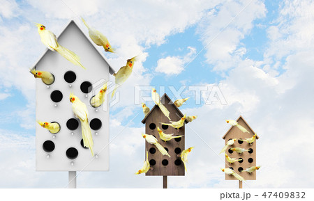 Apartments for friendly living Apartments for friendly living 47409832