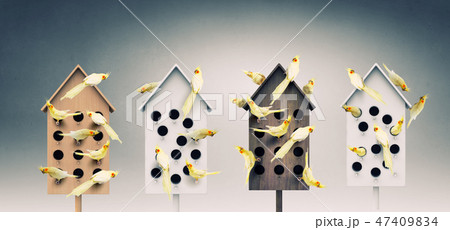 Apartments for friendly living Apartments for friendly living 47409834