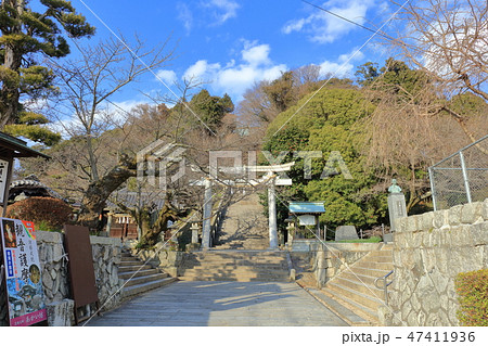 花岡八幡宮_山口県下松市 花岡八幡宮_山口県下松市 47411936