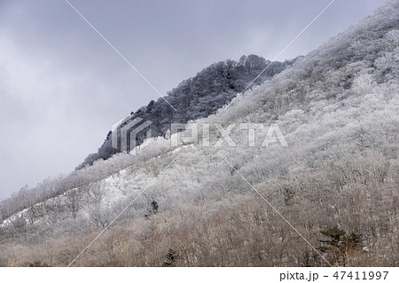 赤城駒ヶ岳 47411997