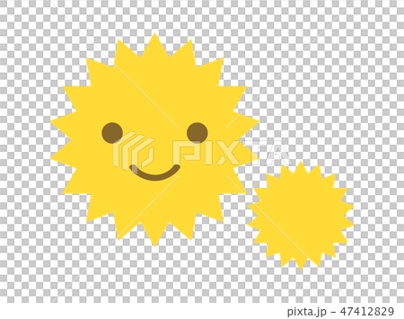 花粉圖像 花粉圖像 47412829