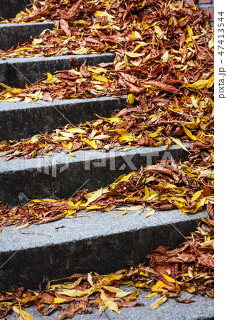 stairway covered with fallen leaves 47413544