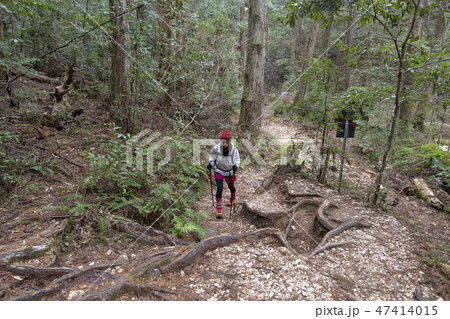 山ガール 山ガール 47414015