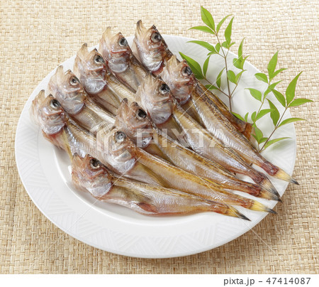 ハタハタの一夜干し 47414087