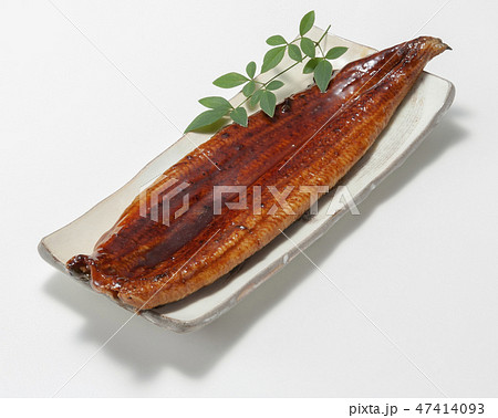 うなぎの蒲焼 47414093