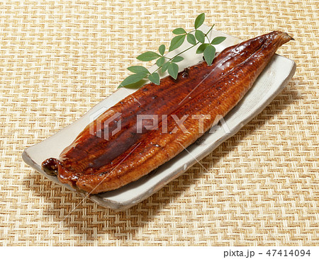 うなぎの蒲焼 47414094