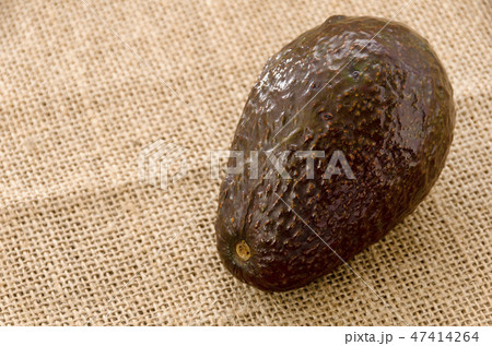 アボカド アボカド 47414264