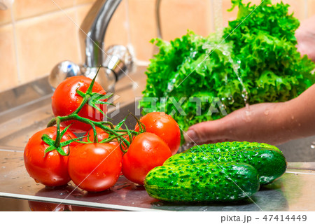 fresh clean washed vegetables fresh clean washed vegetables 47414449
