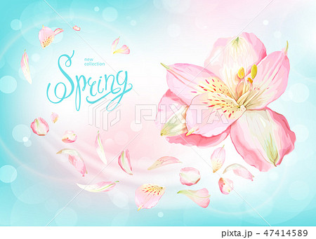 Spring collection background Spring collection background 47414589