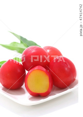 スモモ　プラム　白背景　赤い実　複数 47414742