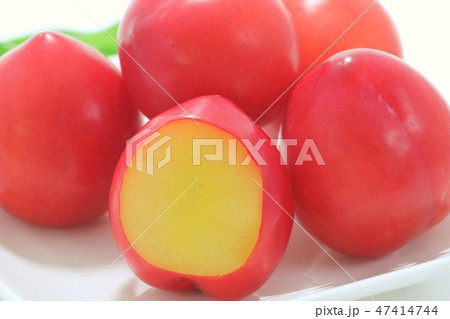 スモモ　プラム　白背景　赤い実　複数 47414744