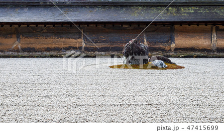 京都 龍安寺 石庭 京都 龍安寺 石庭 47415699