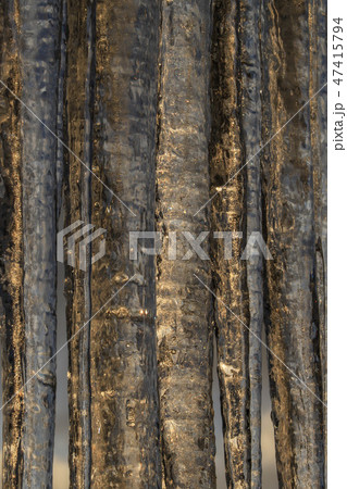 つらら 氷柱 つらら 氷柱 47415794