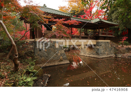 愛知県　名古屋　白雲橋 47416908