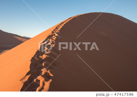 ナミビア　ナミブ砂漠　Dune45 47417596