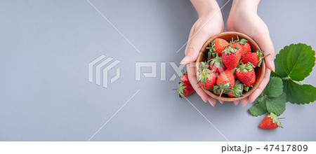 イチゴ いちご 苺 47417809