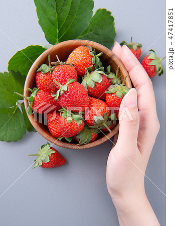 イチゴ いちご 苺 47417851