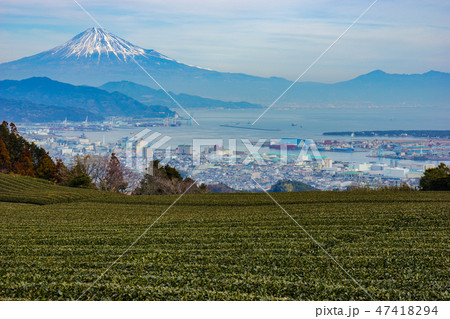 日本平　静岡県 47418294