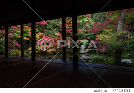 蓮華寺 蓮華寺 47418851