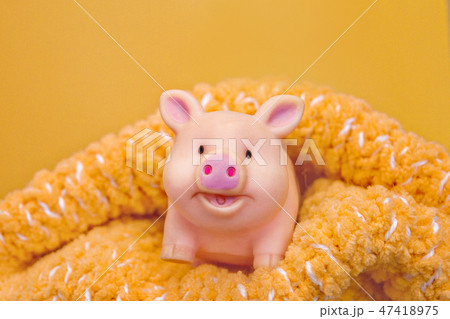 funny smiling rubber pig toy stands in a woolen openwork scarf against yellow background 47418975