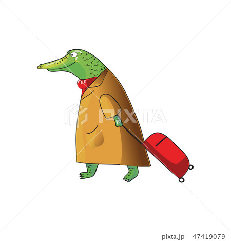 Cartoon vector design of humanized crocodile with suitcase on wheels. Green alligator in brown coat 47419079