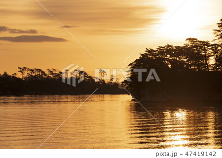 早朝 松島 福浦島 日の出 朝日 早朝 松島 福浦島 日の出 朝日 47419142