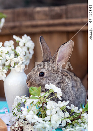 the happy easter the happy easter 47419345