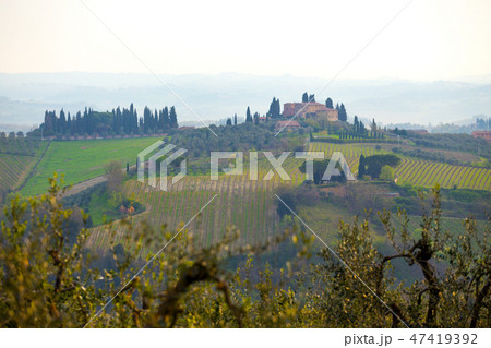 Typical Tuscan landscape Typical Tuscan landscape 47419392