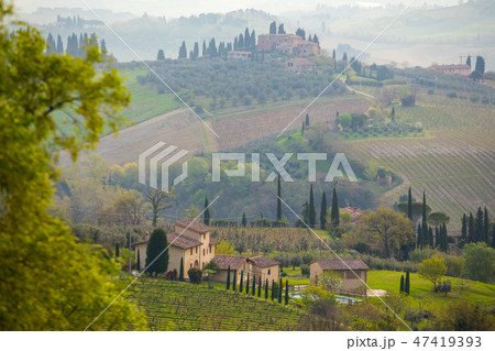 Typical Tuscan landscape 47419393
