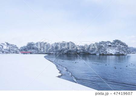 松島 雪 雄島 冬 朝 松島 雪 雄島 冬 朝 47419607