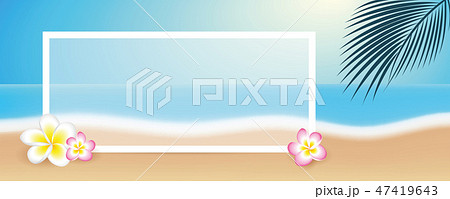 beautiful beach with frangipani tropical flowers and white borde beautiful beach with frangipani tropical flowers and white borde 47419643