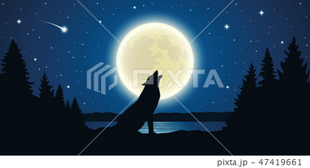 wolf howls to the full moon in a starry night 47419661