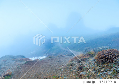 gloomy autumn landscape on a foggy day gloomy autumn landscape on a foggy day 47419910