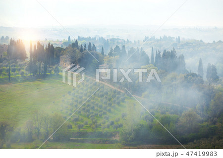 foggy morning at the Toscana foggy morning at the Toscana 47419983