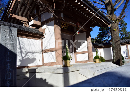 東京都杉並区和田 東円寺の山門と正月飾り 47420311