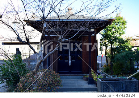 東京都杉並区和田 常仙寺の薬師堂(寅薬師) 東京都杉並区和田 常仙寺の薬師堂(寅薬師) 47420324