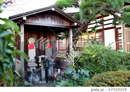 東京都杉並区和田 長延寺(ぼたもち寺)のぼたもち地蔵 東京都杉並区和田 長延寺(ぼたもち寺)のぼたもち地蔵 47420329