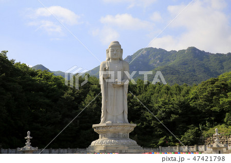 桐華寺 寺院 仏教 47421798